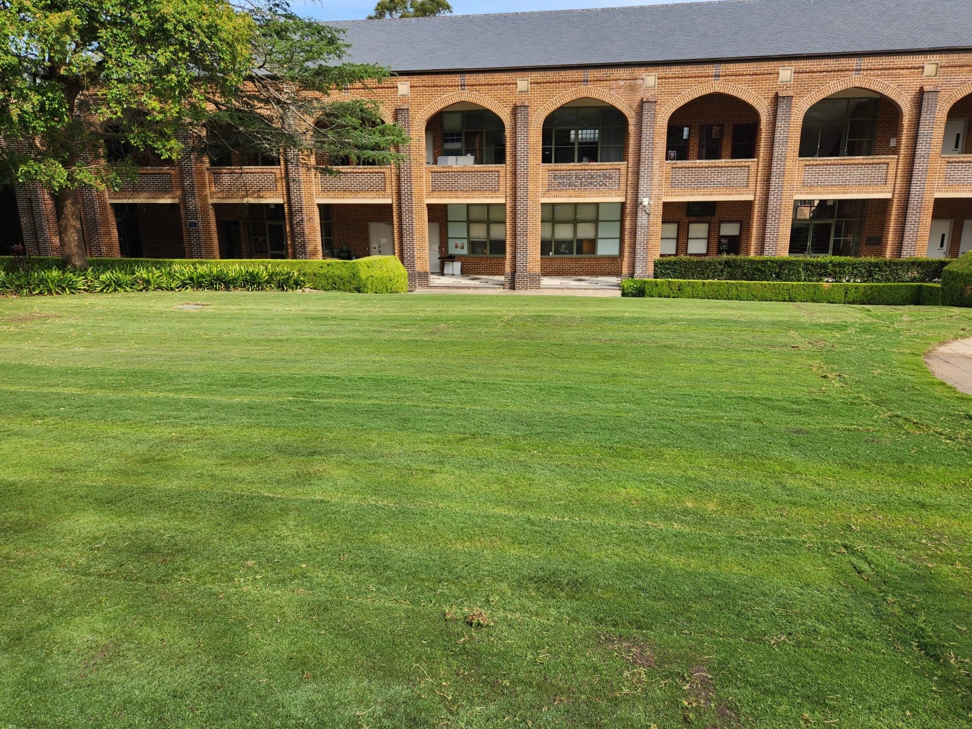 High-performance turf solutions for schools and universities