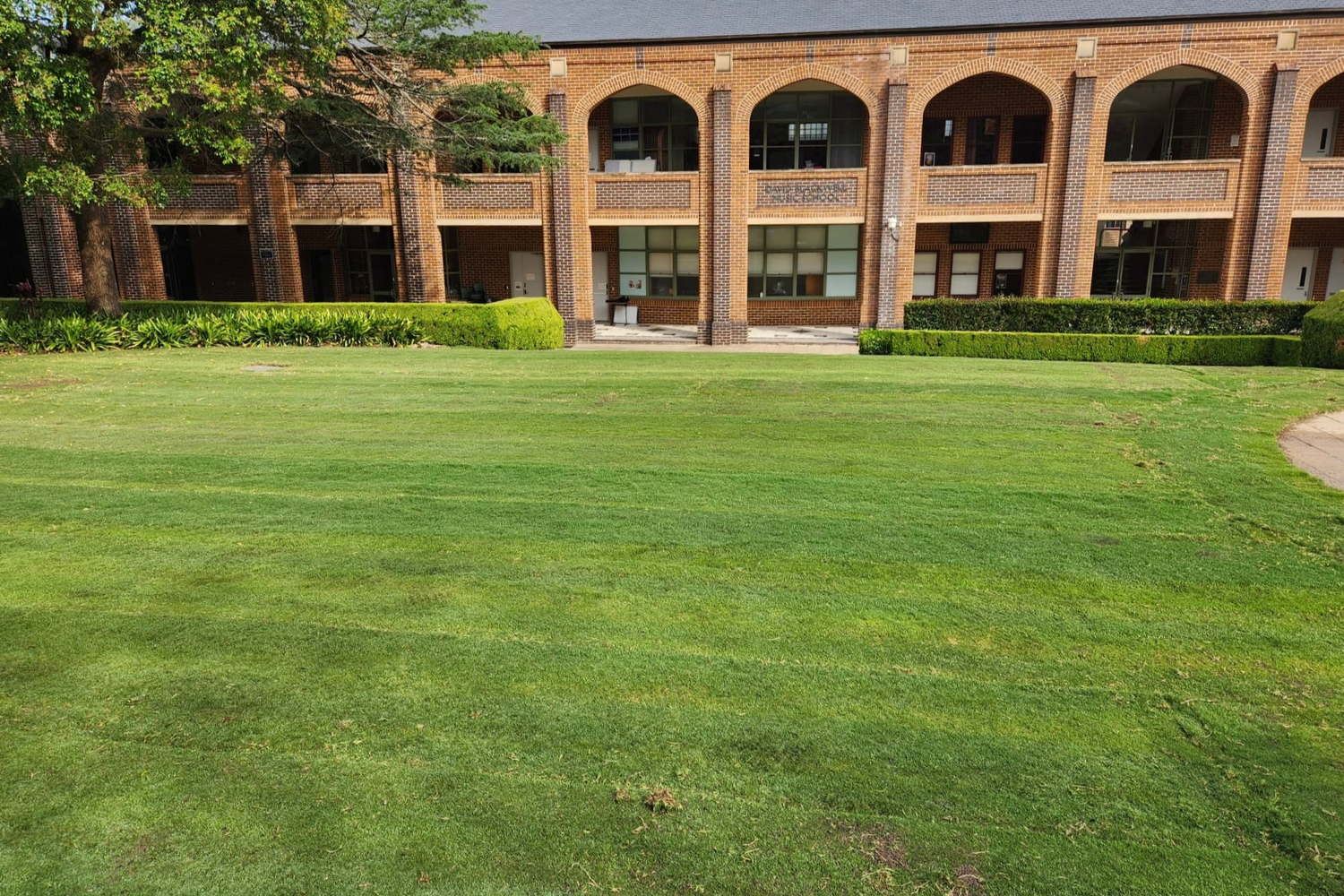 Lawn & Turf Installations on Schools and Universities