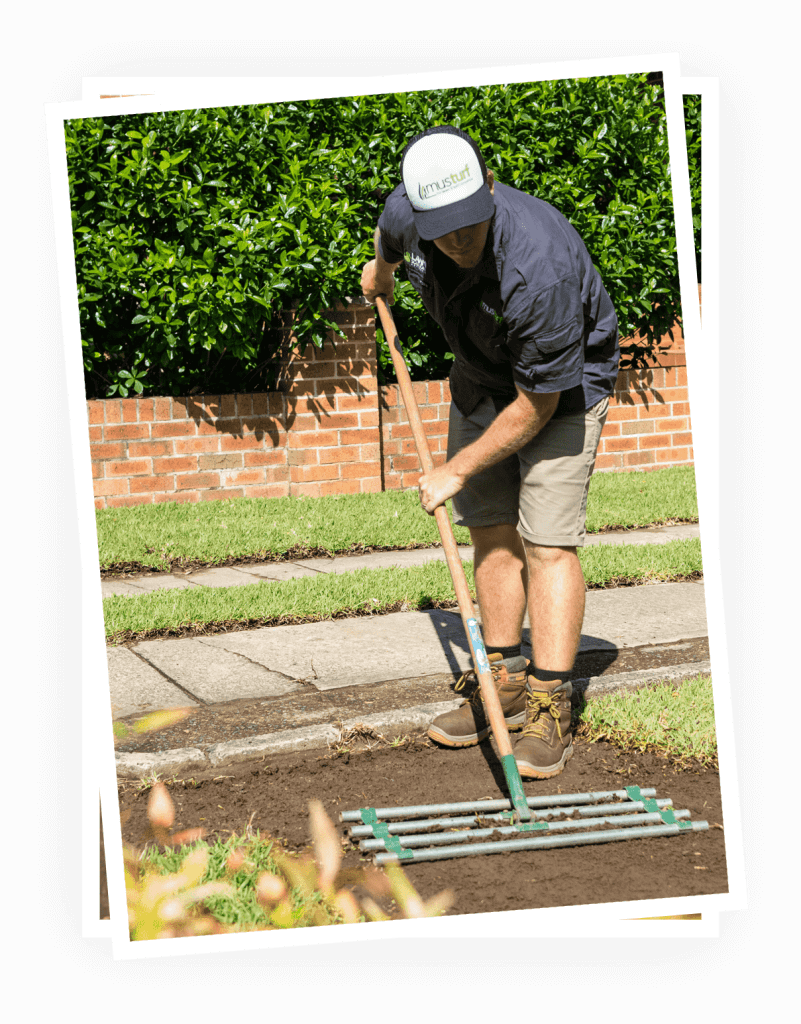 One of Musturf staff preparing the lawn for turf installation