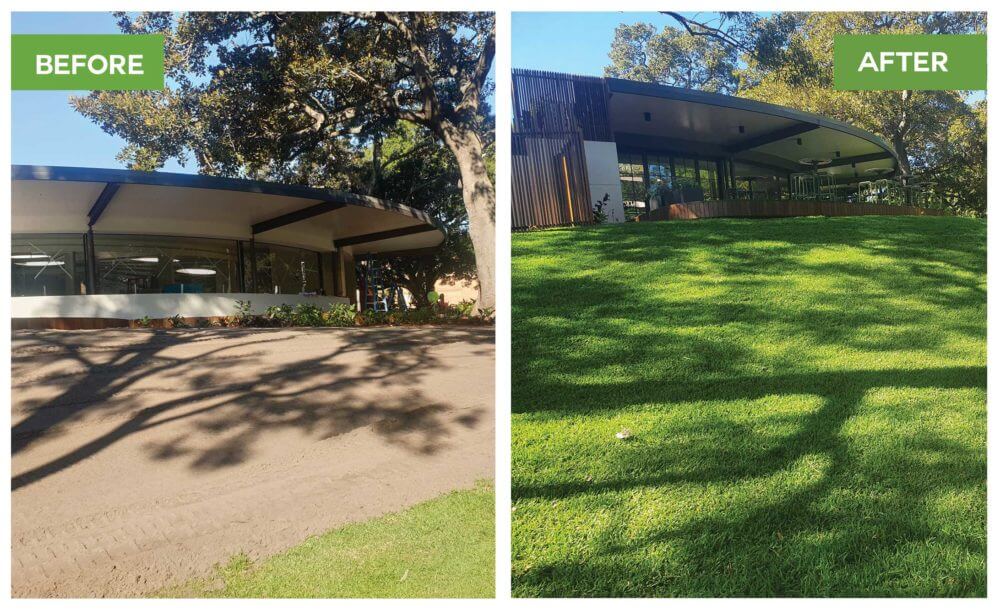 Turf Installation Before & After Results