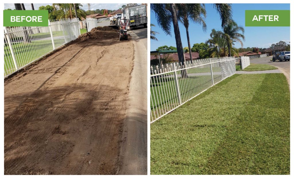 Turf Grass Installation Project Before & After