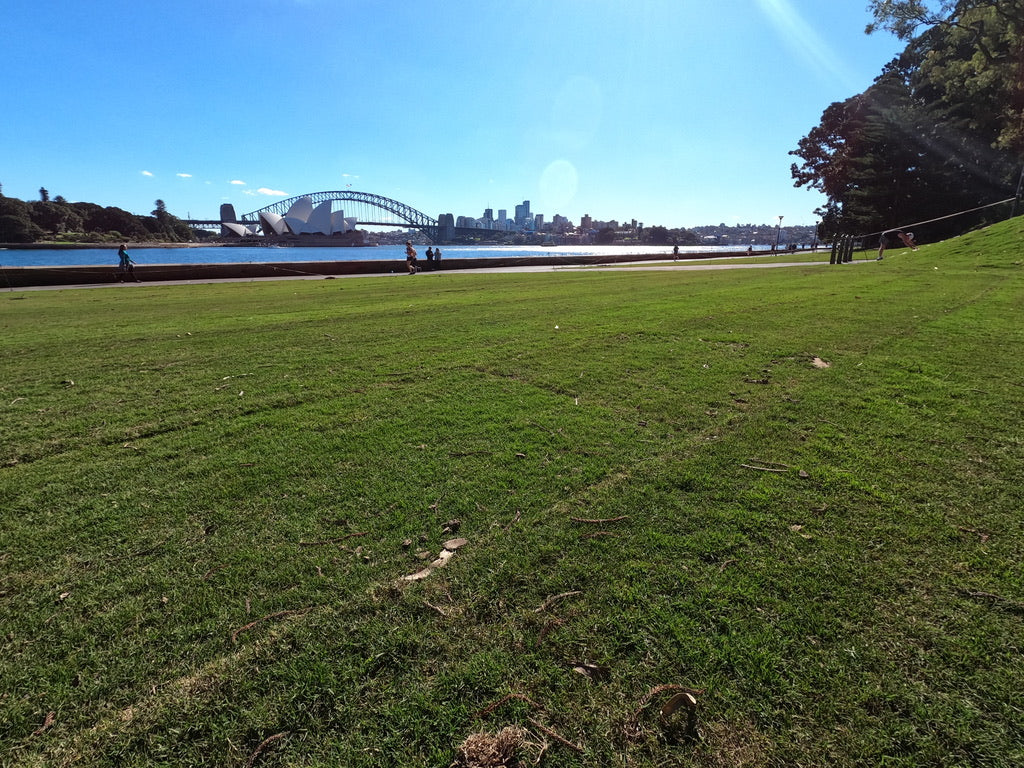 Grass Lawn near Sydney Opera House