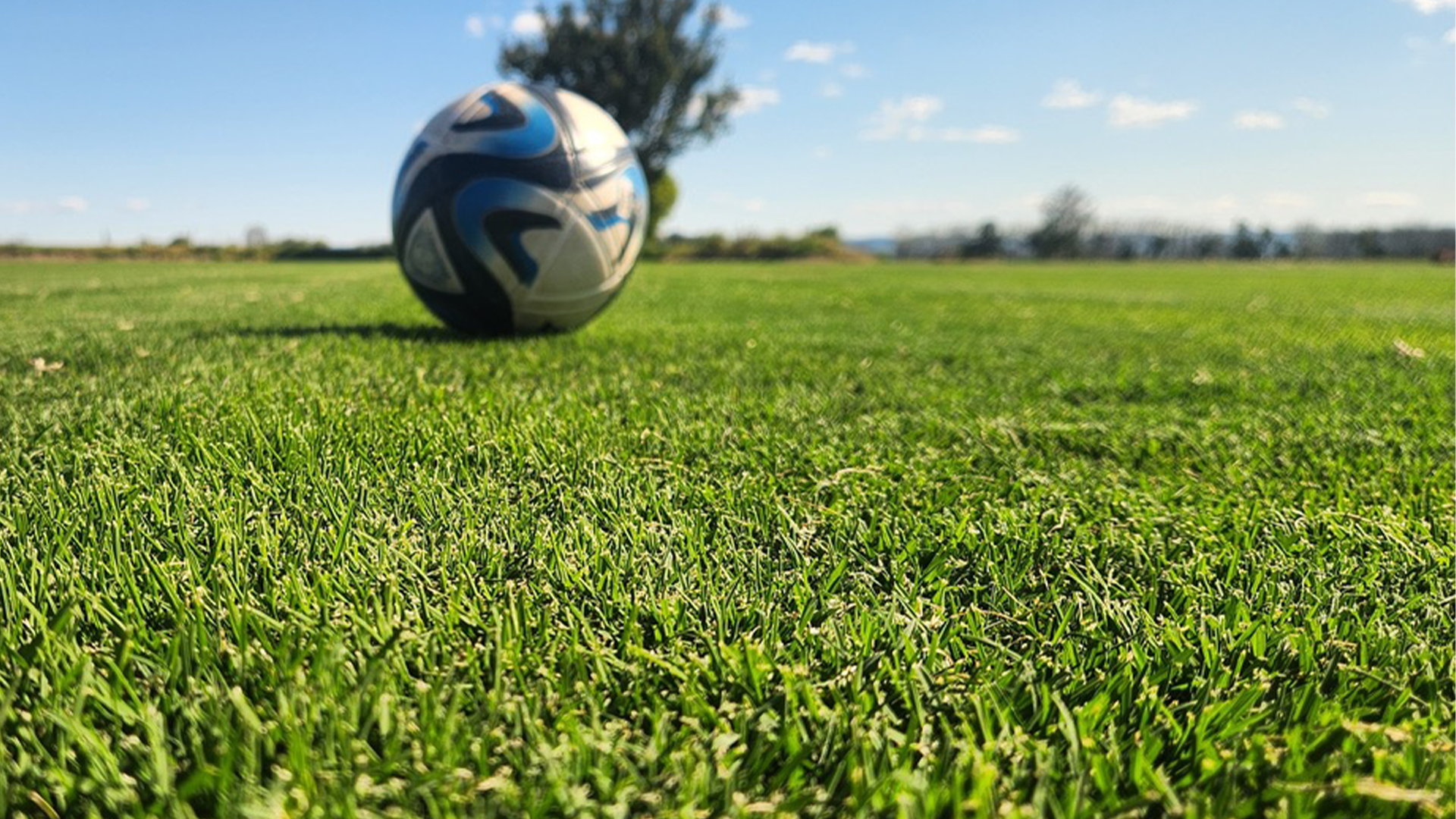 Soccer Ball placed on a wide turf installed grass