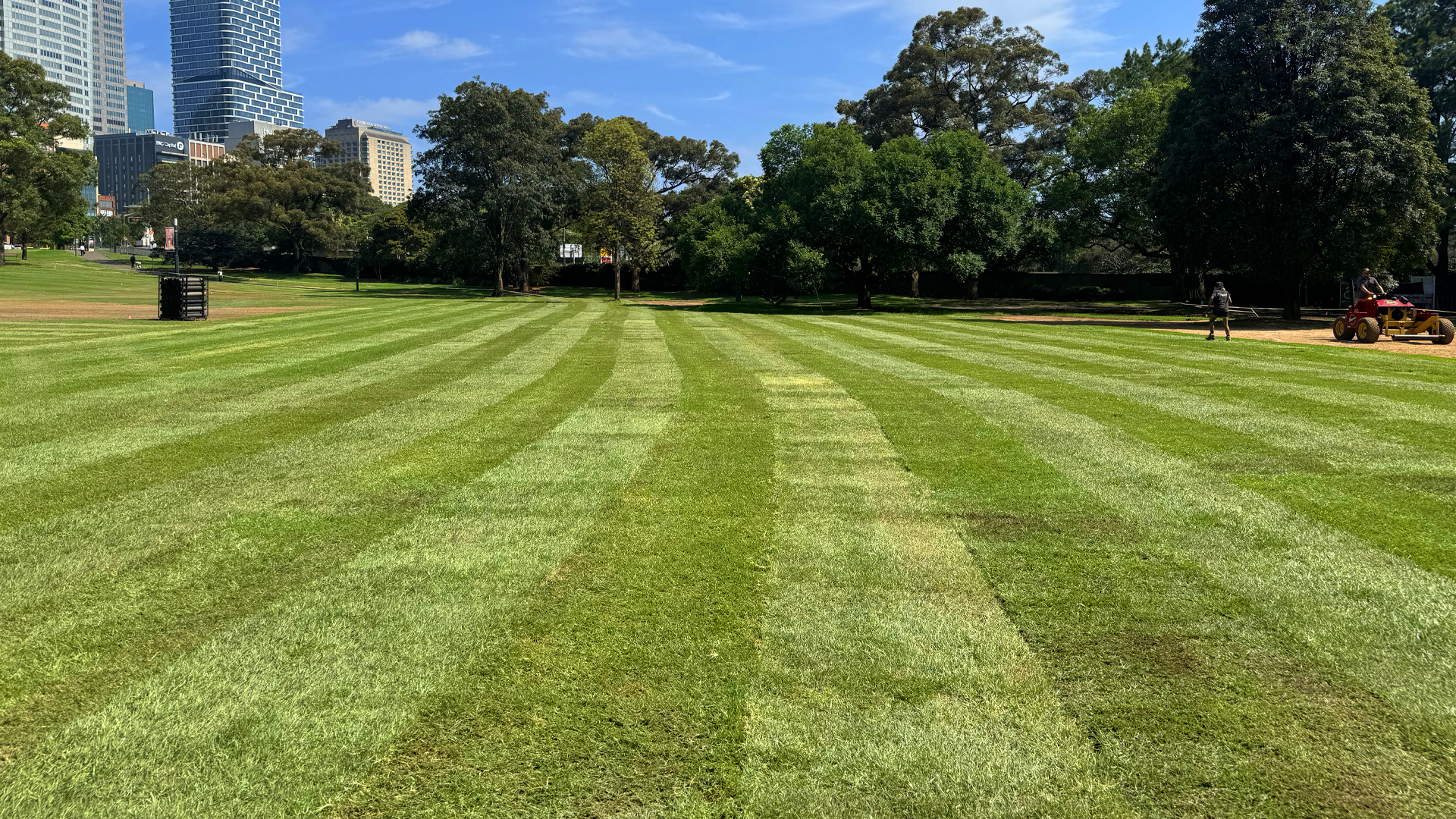 Header of Scalable Turf Solutions for Commercial and Public Open Spaces