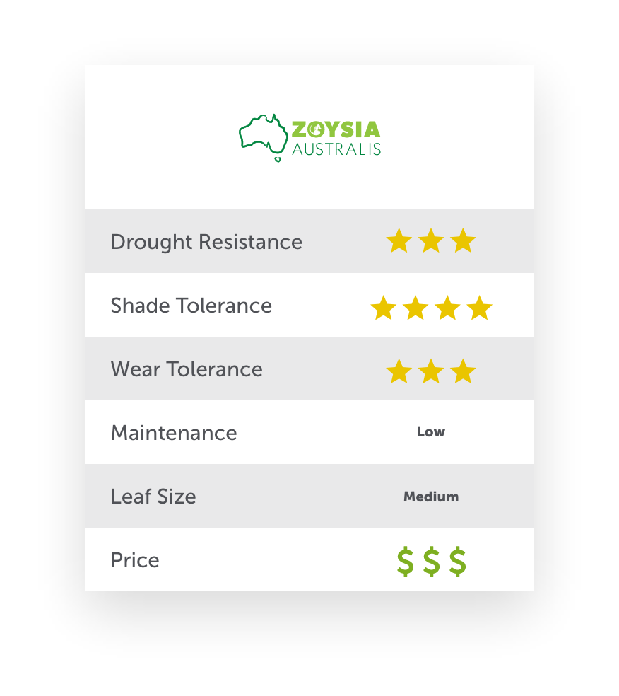 Zoysia Australis Grass Product Specification