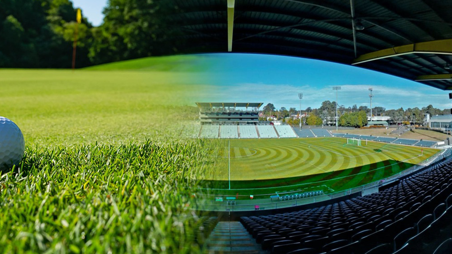 Turf Grass and Installation in Arenas and Sport Stadiums
