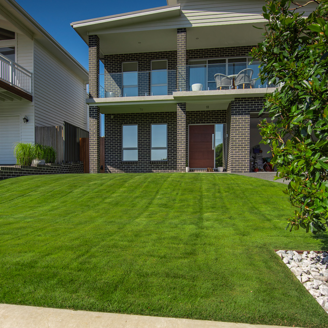 Sir Grange Zoysia Grass installed on a two-storey residential home