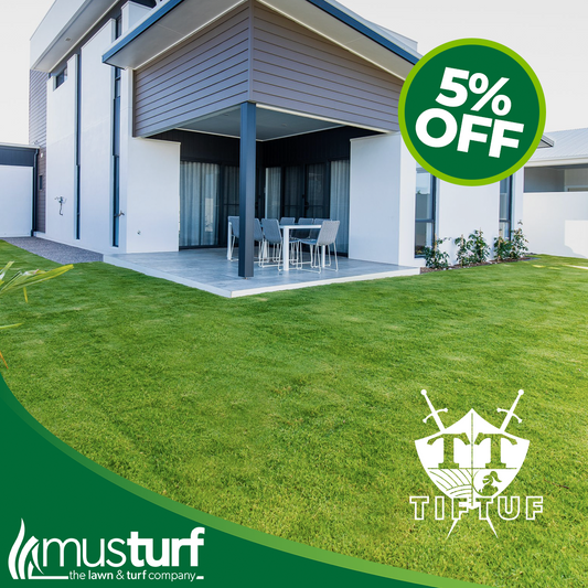 TifTuf Bermuda Grass installed on a modern residential property