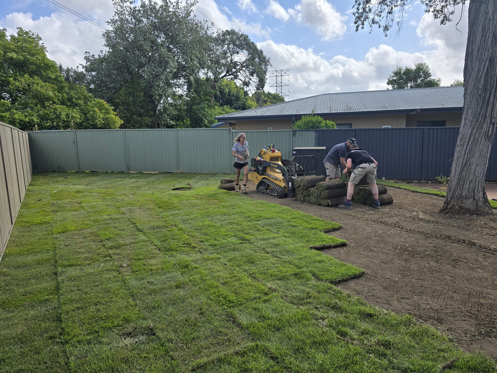 Lawn installation at a residential backyard