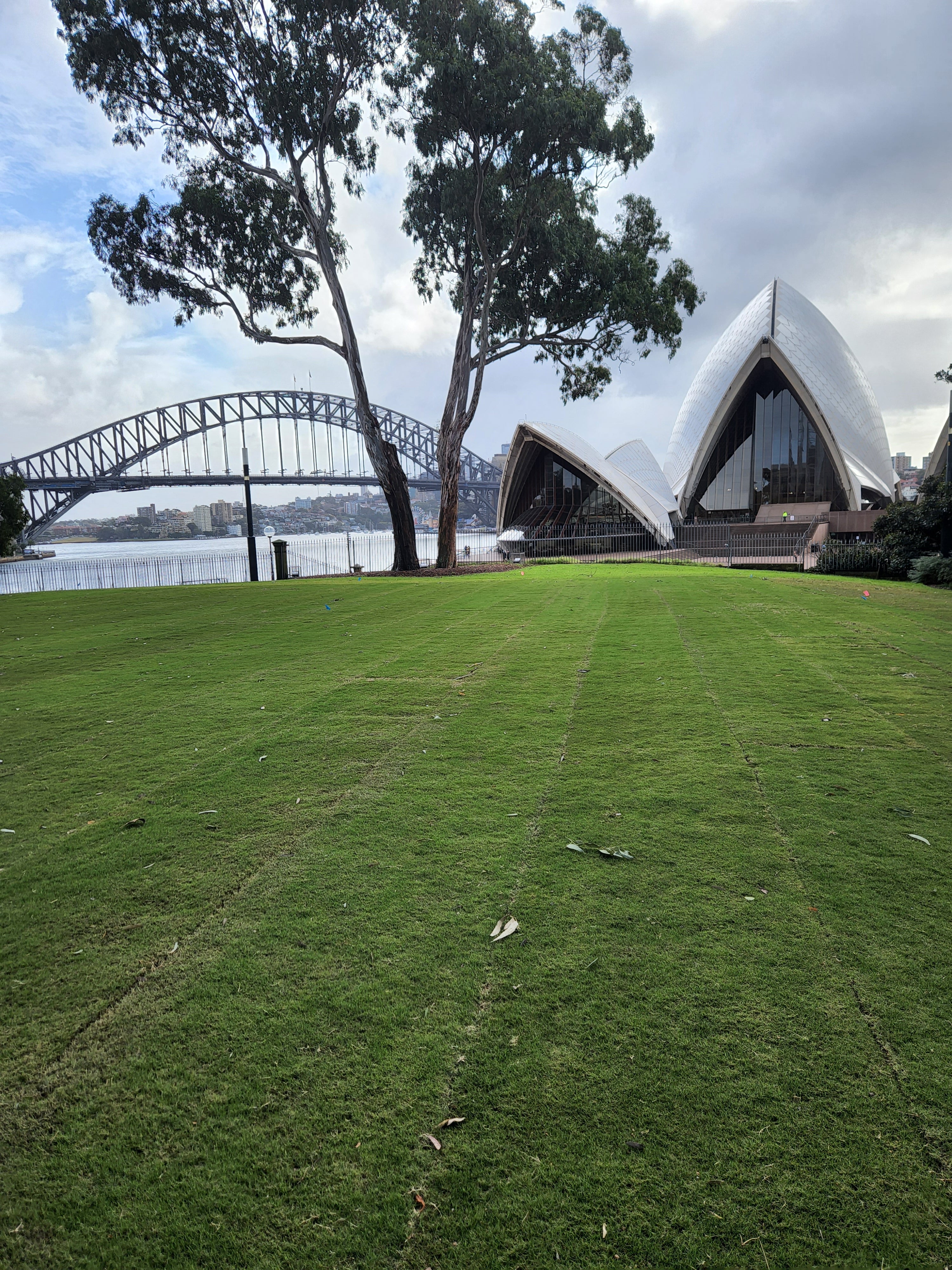 Turf Grass within the Sydney Opera House