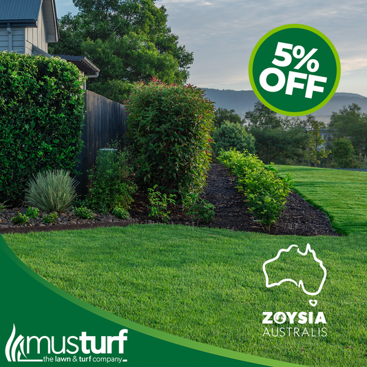 Zoysia Australis grass ideal for for landscapes