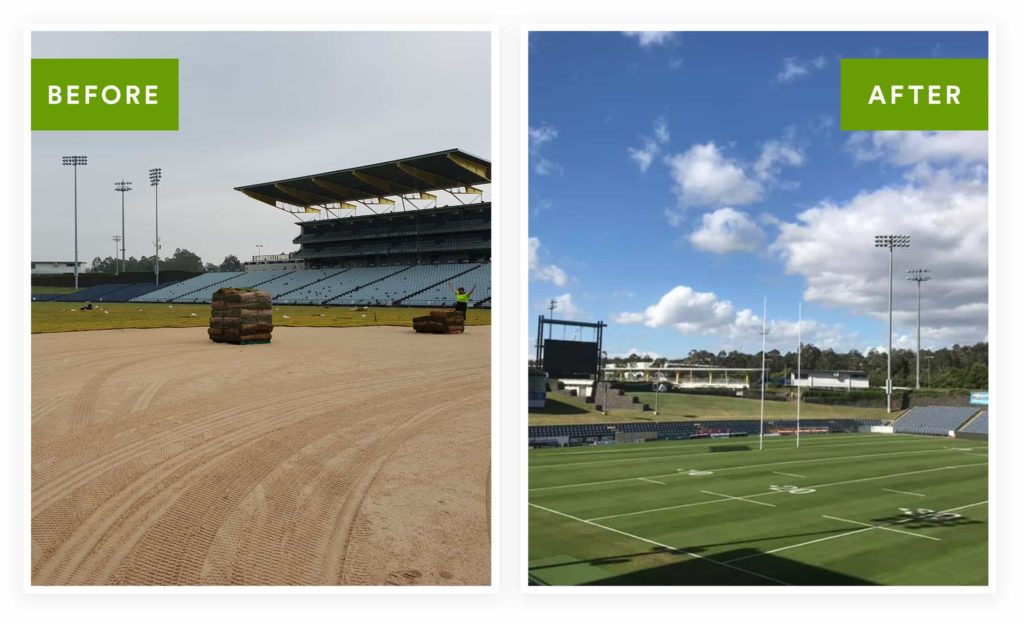 Turf Installation Before & After Results at Campbelltown Sports Stadium