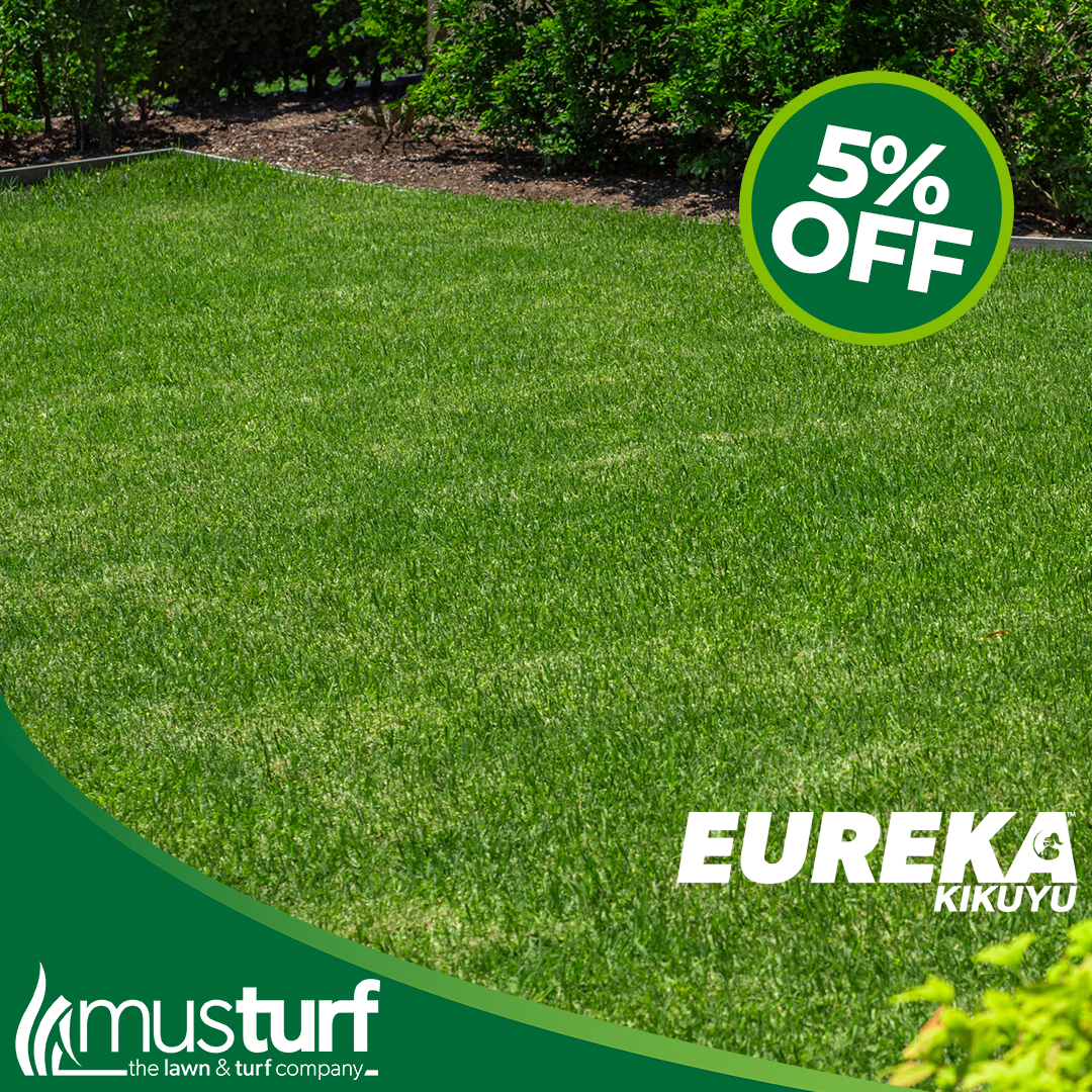 Eureka Kikuyu Turf grass installed on a residential garden