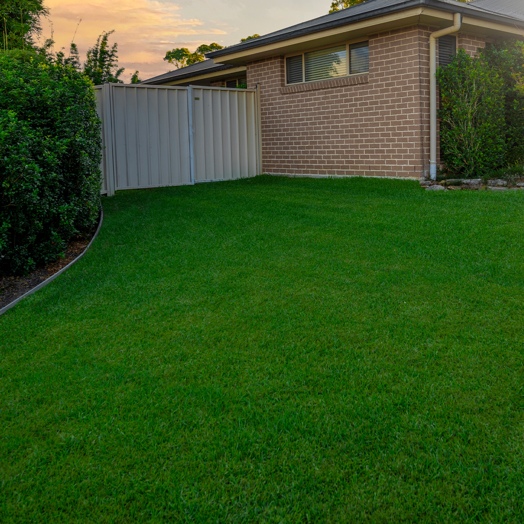 Eureka Kikuyu Turf grass installed on a residential house