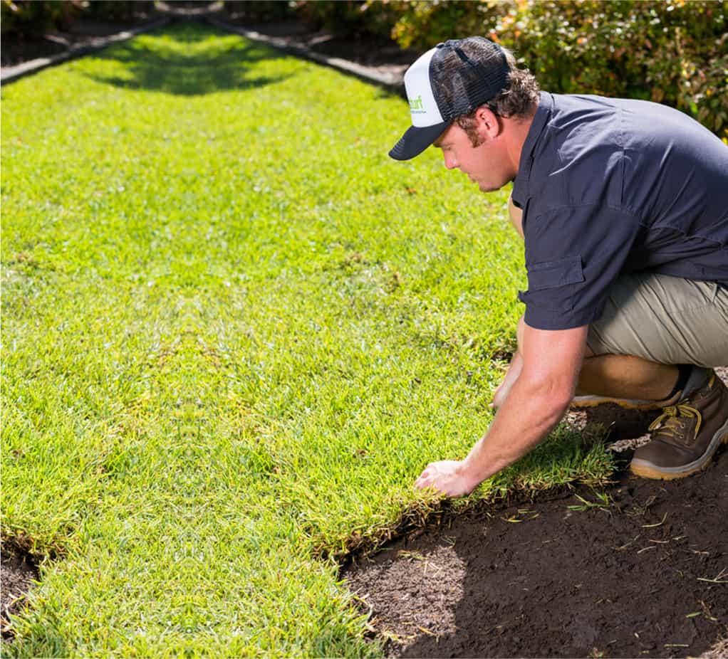 Turf Laying Process