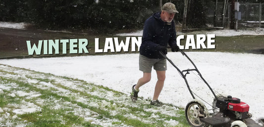 Winter Lawn Care