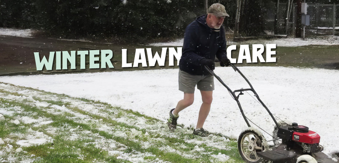 Winter Lawn Care