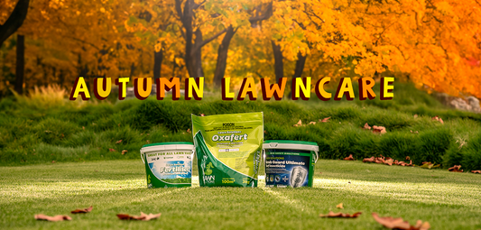 Autumn Lawn Care Essentials