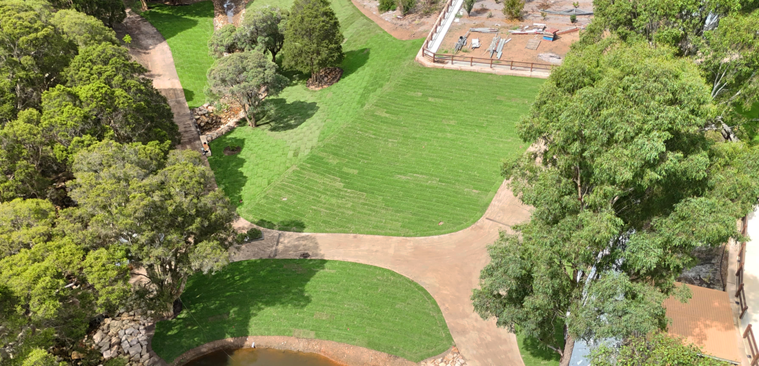 Case Study: Windsor Downs - Premium Residential Turf Installation