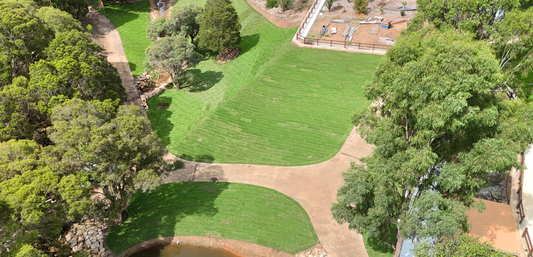 Case Study: Windsor Downs - Premium Residential Turf Installation