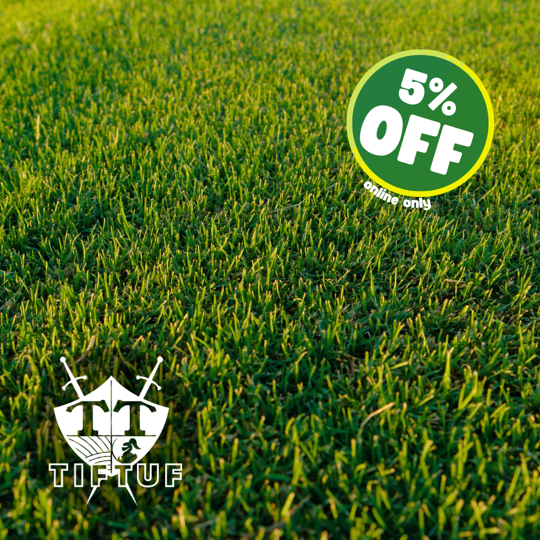 Buy TifTuf Bermuda Grass Online | Musturf