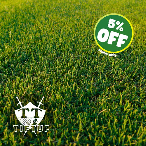 Tiftuf Bermuda Grass