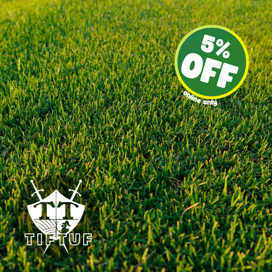 Tiftuf Bermuda Grass