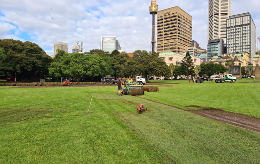 Turf Installation