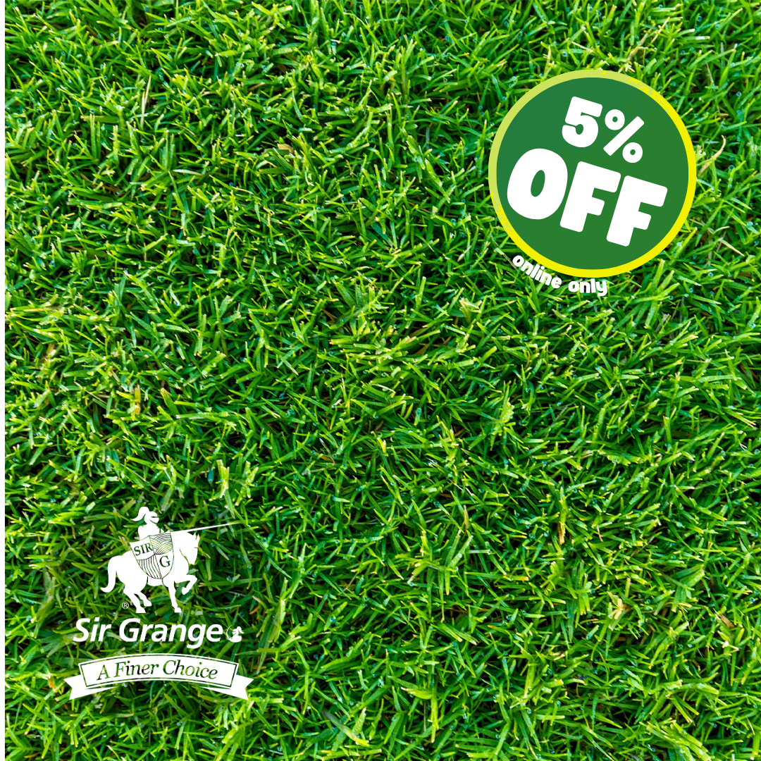 Sir Grange Zoysia