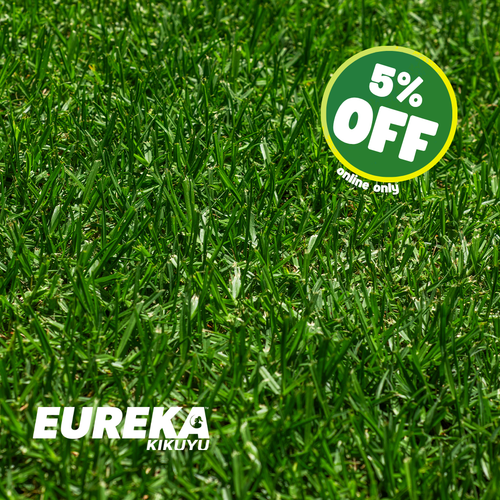 Eureka Kikuyu