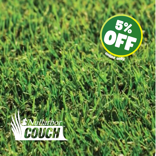 Nullarbor Couch