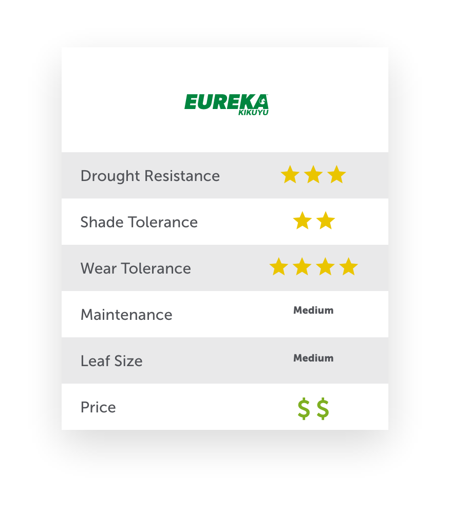 Eureka Kikuyu Product Specification