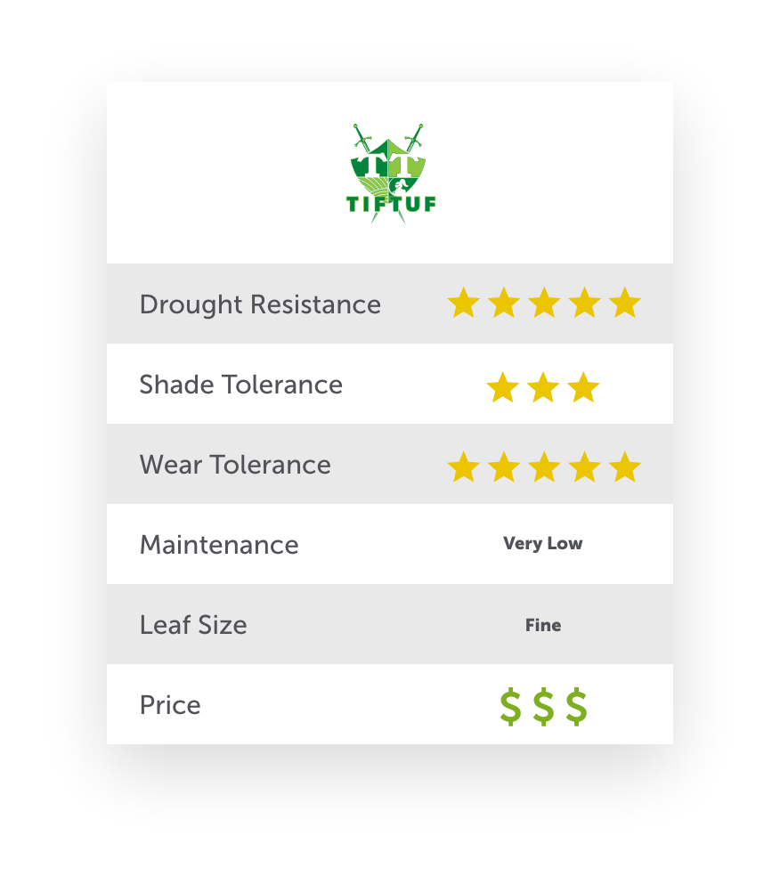 Product specification of TifTuf Bermuda Grass