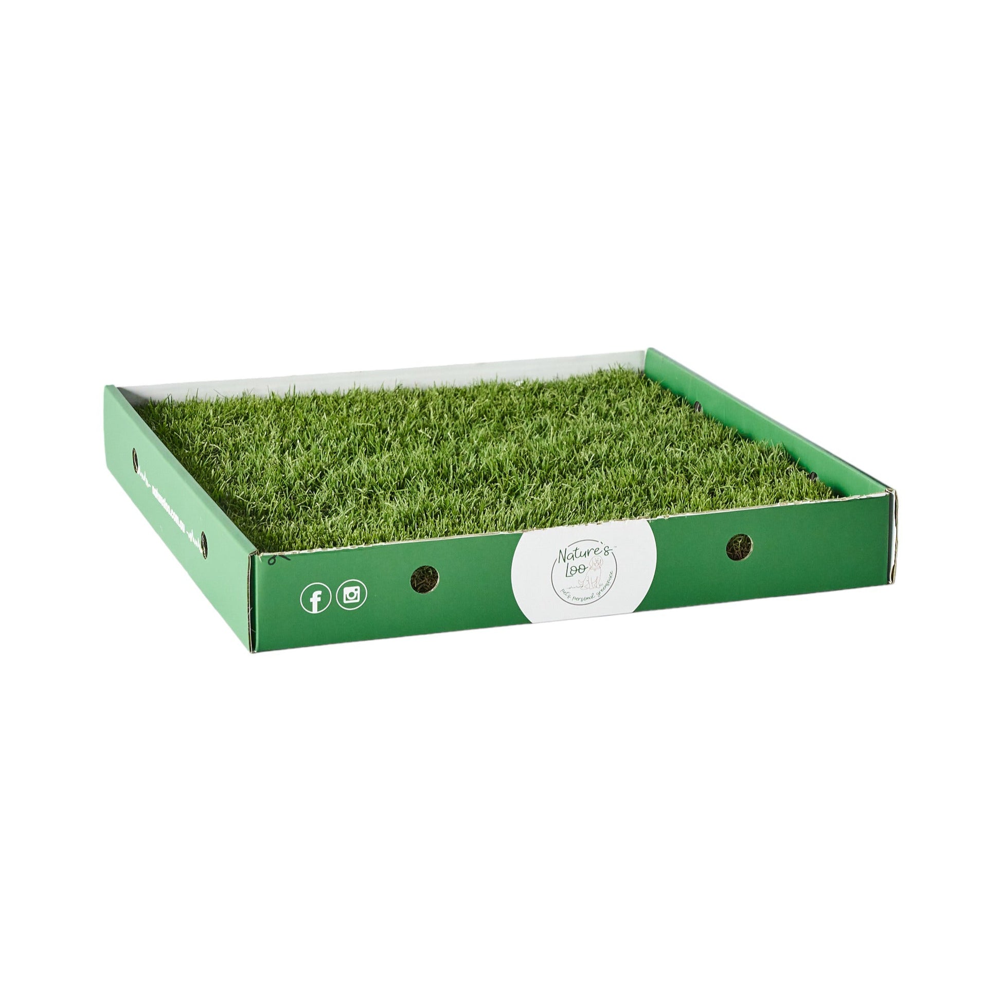 Box of Real Grass Pet Pad