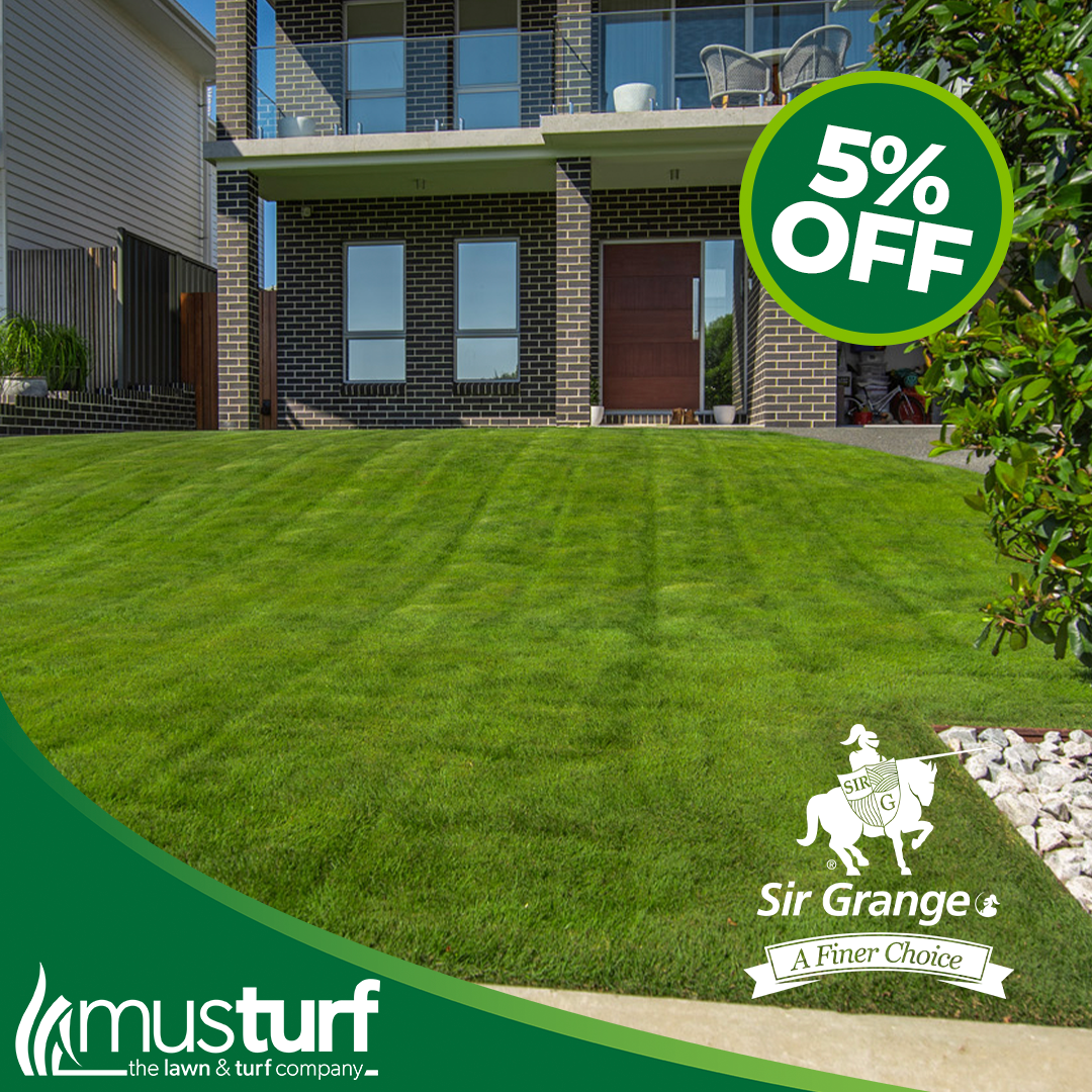 Sir Grange Zoysia Grass Installed on a modern residential property