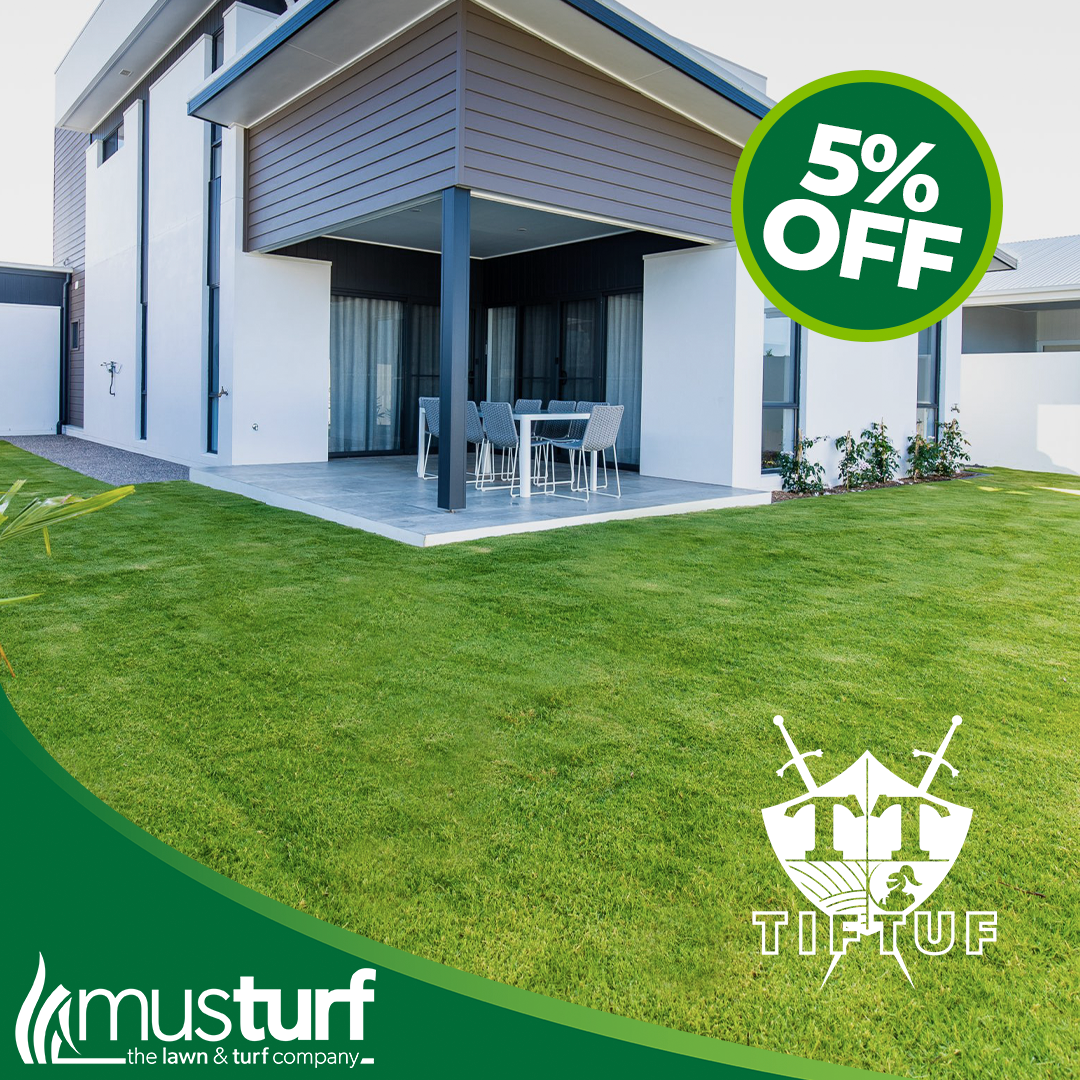 TifTuf Bermuda Grass installed on a modern residential property